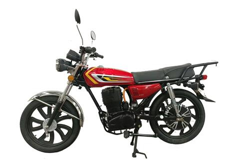 CG1500 E-Motorcycle specification 